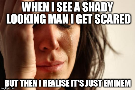 I might get scared of slim people too. | WHEN I SEE A SHADY LOOKING MAN I GET SCARED; BUT THEN I REALISE IT'S JUST EMINEM | image tagged in memes,first world problems | made w/ Imgflip meme maker