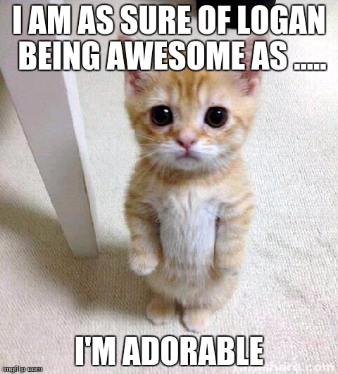 Cute Cat Meme | I AM AS SURE OF LOGAN BEING AWESOME AS ..... I'M ADORABLE | image tagged in memes,cute cat | made w/ Imgflip meme maker