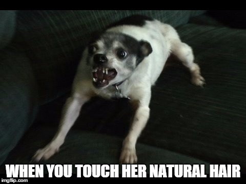 WHEN YOU TOUCH HER NATURAL HAIR | made w/ Imgflip meme maker