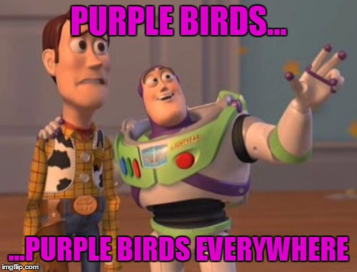 X, X Everywhere | PURPLE BIRDS... ...PURPLE BIRDS EVERYWHERE | image tagged in memes,x x everywhere | made w/ Imgflip meme maker