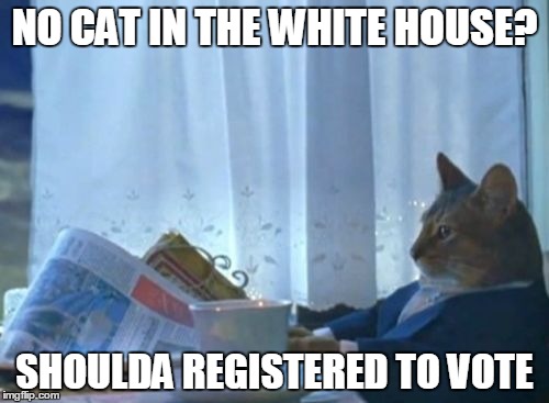 I Should Buy a Boat Cat | NO CAT IN THE WHITE HOUSE? SHOULDA REGISTERED TO VOTE | image tagged in i should buy a boat cat | made w/ Imgflip meme maker