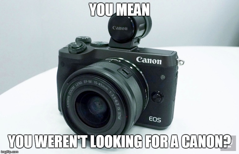 YOU MEAN YOU WEREN'T LOOKING FOR A CANON? | made w/ Imgflip meme maker