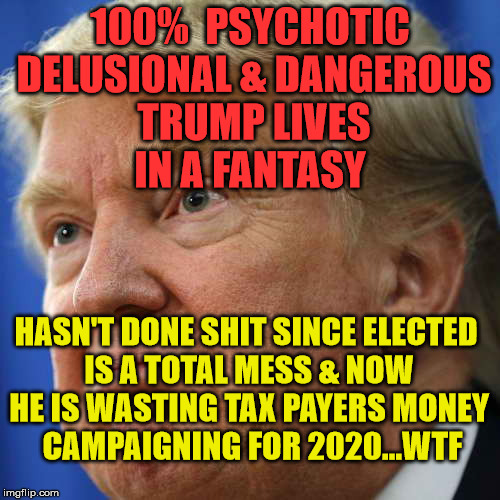 IMPOTUS | 100%  PSYCHOTIC DELUSIONAL & DANGEROUS TRUMP LIVES   IN A FANTASY; HASN'T DONE SHIT SINCE ELECTED IS A TOTAL MESS & NOW HE IS WASTING TAX PAYERS MONEY  CAMPAIGNING FOR 2020...WTF | image tagged in impotus | made w/ Imgflip meme maker