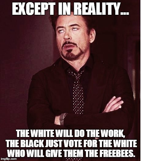 Fixed2 | EXCEPT IN REALITY... THE WHITE WILL DO THE WORK, THE BLACK JUST VOTE FOR THE WHITE WHO WILL GIVE THEM THE FREEBEES. | image tagged in fixed2 | made w/ Imgflip meme maker
