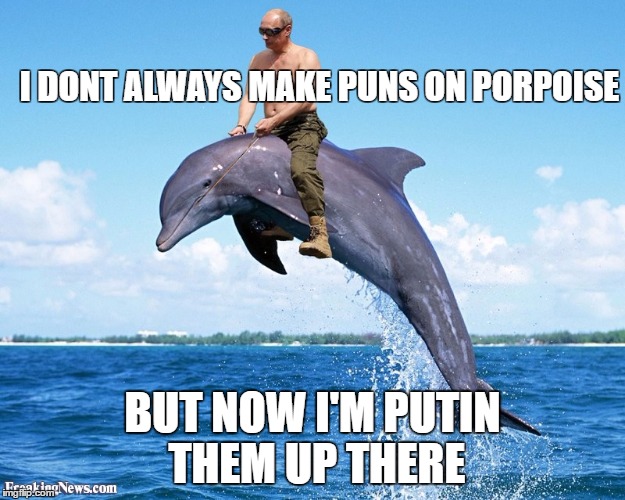 o.o | I DONT ALWAYS MAKE PUNS ON PORPOISE; BUT NOW I'M PUTIN THEM UP THERE | image tagged in puns,funny,vladimir putin,porpoise | made w/ Imgflip meme maker