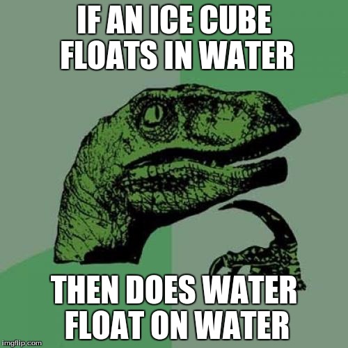 Philosoraptor | IF AN ICE CUBE FLOATS IN WATER; THEN DOES WATER FLOAT ON WATER | image tagged in memes,philosoraptor | made w/ Imgflip meme maker