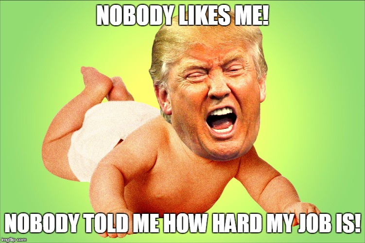 Cry Baby Of The United States | NOBODY LIKES ME! NOBODY TOLD ME HOW HARD MY JOB IS! | image tagged in donald trump,crying baby | made w/ Imgflip meme maker
