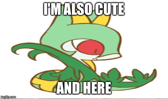 I'M ALSO CUTE; AND HERE | made w/ Imgflip meme maker