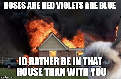 Burn Kitty Meme | ROSES ARE RED VIOLETS ARE BLUE; ID RATHER BE IN THAT HOUSE THAN WITH YOU | image tagged in memes,burn kitty,grumpy cat | made w/ Imgflip meme maker