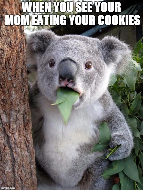 Surprised Koala Meme | WHEN YOU SEE YOUR MOM EATING YOUR COOKIES | image tagged in memes,surprised koala | made w/ Imgflip meme maker