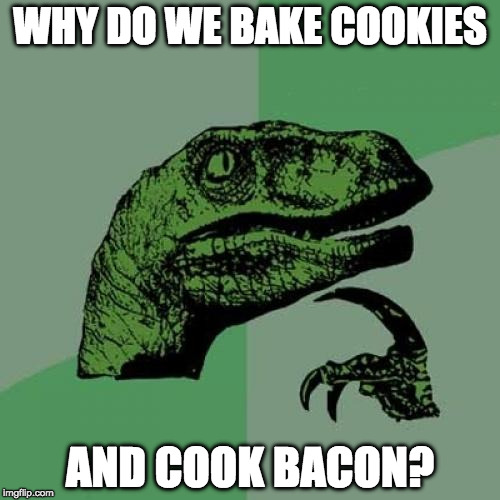 Philosoraptor | WHY DO WE BAKE COOKIES; AND COOK BACON? | image tagged in memes,philosoraptor | made w/ Imgflip meme maker