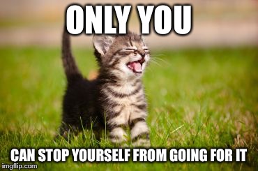 cute cat | ONLY YOU; CAN STOP YOURSELF FROM GOING FOR IT | image tagged in cute cat | made w/ Imgflip meme maker