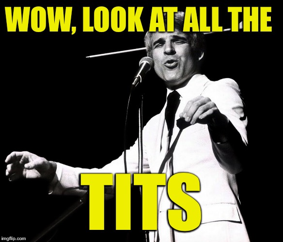 There must be.....57 tits out there! | WOW, LOOK AT ALL THE; TITS | image tagged in steve martin | made w/ Imgflip meme maker