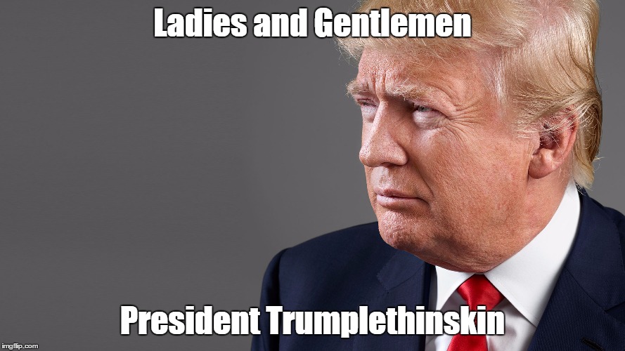 The Donald | Ladies and Gentlemen; President Trumplethinskin | image tagged in the donald | made w/ Imgflip meme maker