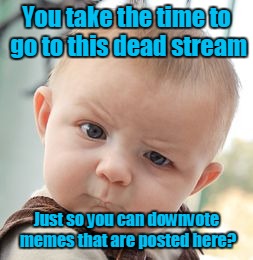 Skeptical Baby Meme | You take the time to go to this dead stream; Just so you can downvote memes that are posted here? | image tagged in memes,skeptical baby | made w/ Imgflip meme maker