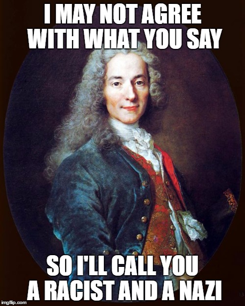 voltaire | I MAY NOT AGREE WITH WHAT YOU SAY; SO I'LL CALL YOU A RACIST AND A NAZI | image tagged in voltaire | made w/ Imgflip meme maker