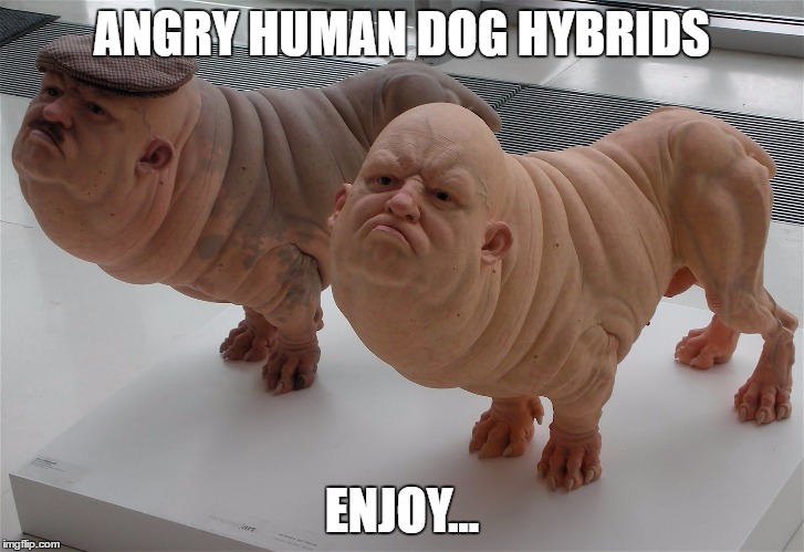 is it just me, or does the left one look like a cross between Hitler and Jamie from Mythbusters? | ANGRY HUMAN DOG HYBRIDS; ENJOY... | image tagged in mythbusters,memes,adolf hitler | made w/ Imgflip meme maker