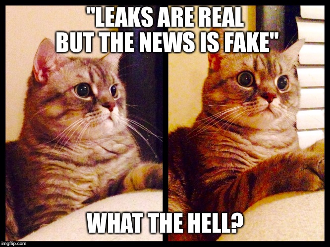 Cats Against Trump | "LEAKS ARE REAL BUT THE NEWS IS FAKE"; WHAT THE HELL? | image tagged in funny cats,not my president,political meme | made w/ Imgflip meme maker