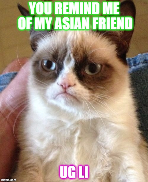 Grumpy Cat Meme | YOU REMIND ME OF MY ASIAN FRIEND; UG LI | image tagged in memes,grumpy cat | made w/ Imgflip meme maker