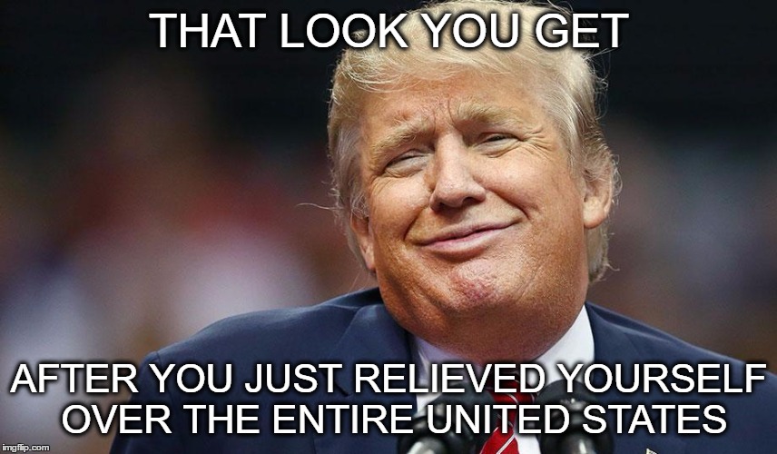 Trump dump | THAT LOOK YOU GET; AFTER YOU JUST RELIEVED YOURSELF OVER THE ENTIRE UNITED STATES | image tagged in president,donald trump,trump | made w/ Imgflip meme maker