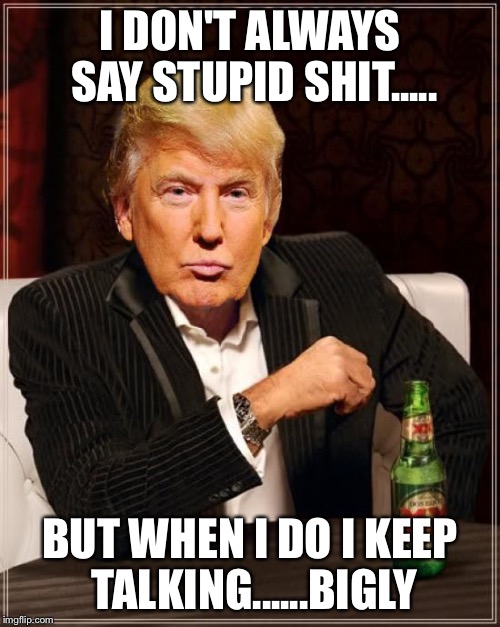 Trump Most Interesting Man In The World | I DON'T ALWAYS SAY STUPID SHIT..... BUT WHEN I DO I KEEP TALKING......BIGLY | image tagged in trump most interesting man in the world | made w/ Imgflip meme maker