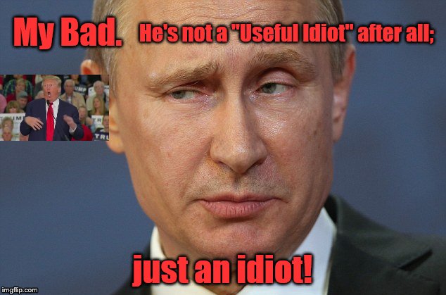 vladimir putin very skeptical | He's not a "Useful Idiot" after all;; My Bad. just an idiot! | image tagged in vladimir putin very skeptical | made w/ Imgflip meme maker