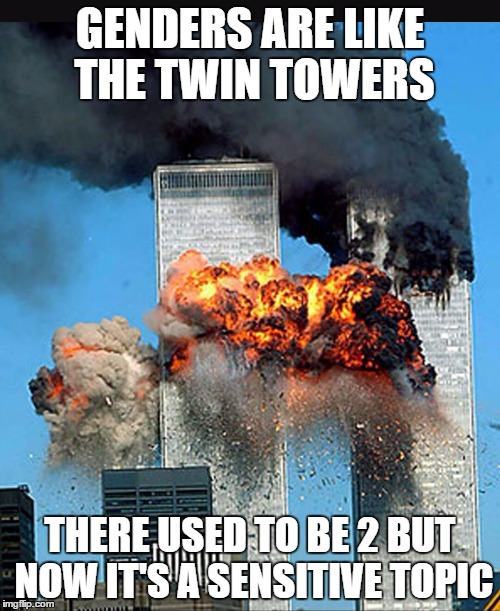 Twin towers  | GENDERS ARE LIKE THE TWIN TOWERS; THERE USED TO BE 2 BUT NOW IT'S A SENSITIVE TOPIC | image tagged in twin towers | made w/ Imgflip meme maker