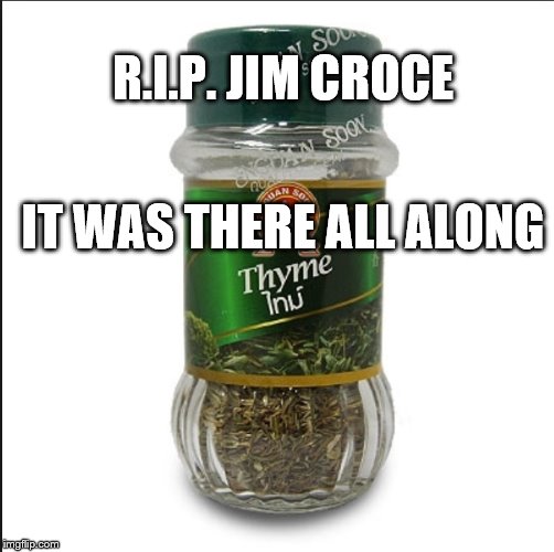 R.I.P. JIM CROCE; IT WAS THERE ALL ALONG | image tagged in funny,punny,bad pun,herbs,spice,satire | made w/ Imgflip meme maker