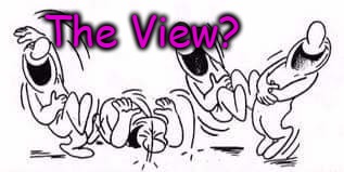 The View? | The View? | image tagged in laughing,the view | made w/ Imgflip meme maker
