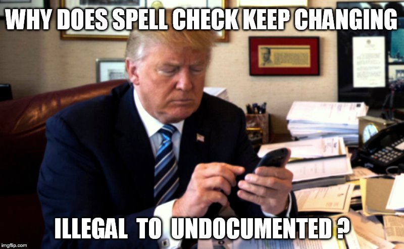 WHY DOES SPELL CHECK KEEP CHANGING; ILLEGAL  TO  UNDOCUMENTED ? | image tagged in trump,illegal immigration,spell check | made w/ Imgflip meme maker
