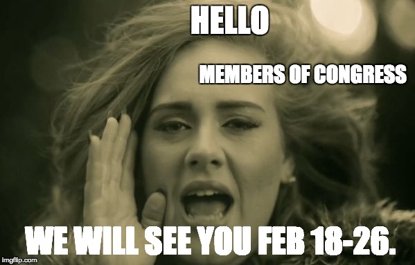 adele hello | HELLO; MEMBERS OF CONGRESS; WE WILL SEE YOU FEB 18-26. | image tagged in adele hello | made w/ Imgflip meme maker