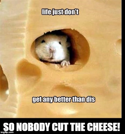 A Reasonable Request | SO NOBODY CUT THE CHEESE! | image tagged in vince vance,mouse,swiss cheese,mouse in a block of swiss cheese,mouse heaven | made w/ Imgflip meme maker