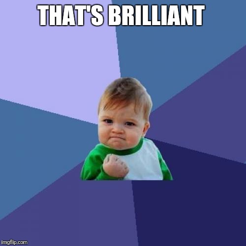 Success Kid Meme | THAT'S BRILLIANT | image tagged in memes,success kid | made w/ Imgflip meme maker