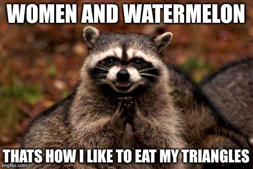 Evil Plotting Raccoon | WOMEN AND WATERMELON; THATS HOW I LIKE TO EAT MY TRIANGLES | image tagged in memes,evil plotting raccoon | made w/ Imgflip meme maker