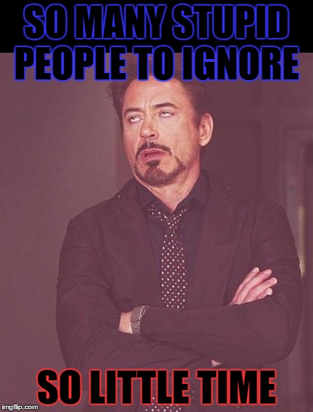 This is how it feels sometimes! | SO MANY STUPID PEOPLE TO IGNORE; SO LITTLE TIME | image tagged in meme,funny,the face you make,face you make robert downey jr,stupid people,time | made w/ Imgflip meme maker