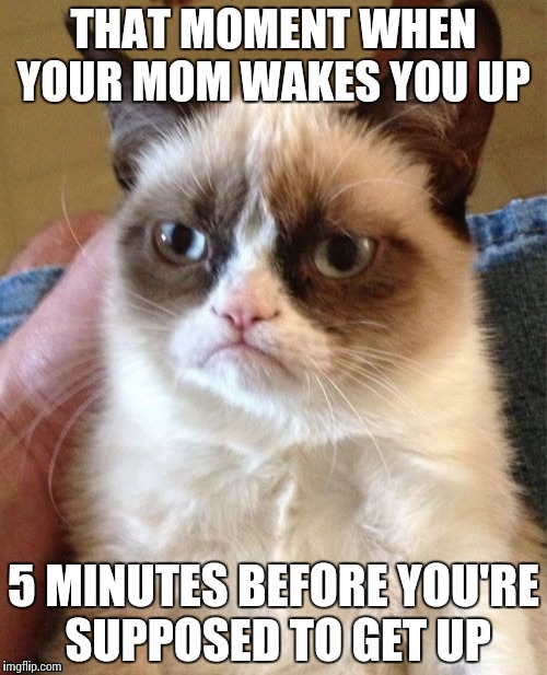 Grumpy Cat Meme | THAT MOMENT WHEN YOUR MOM WAKES YOU UP; 5 MINUTES BEFORE YOU'RE SUPPOSED TO GET UP | image tagged in memes,grumpy cat | made w/ Imgflip meme maker