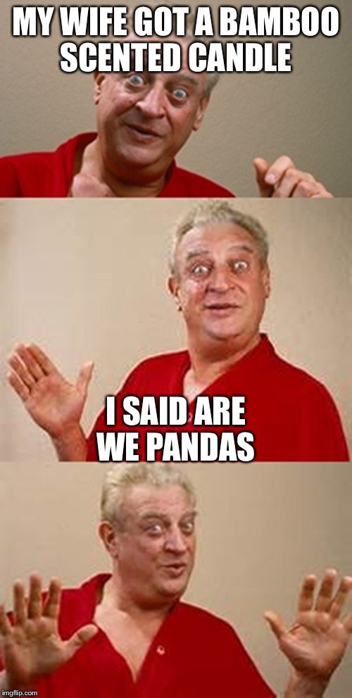 bad pun Dangerfield  | MY WIFE GOT A BAMBOO SCENTED CANDLE; I SAID ARE WE PANDAS | image tagged in bad pun dangerfield,candle,bamboo,pandas | made w/ Imgflip meme maker