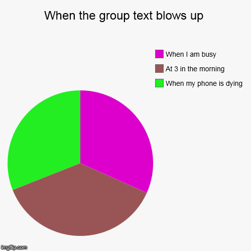 image tagged in funny,pie charts | made w/ Imgflip chart maker