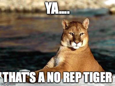 punny puma | YA.... THAT'S A NO REP TIGER | image tagged in punny puma | made w/ Imgflip meme maker