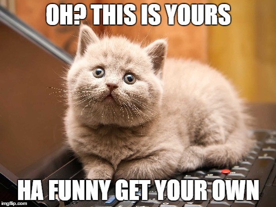 When a cat sits some where its there | OH? THIS IS YOURS; HA FUNNY GET YOUR OWN | image tagged in cats,computer,meme,get your own,lol,kitty | made w/ Imgflip meme maker