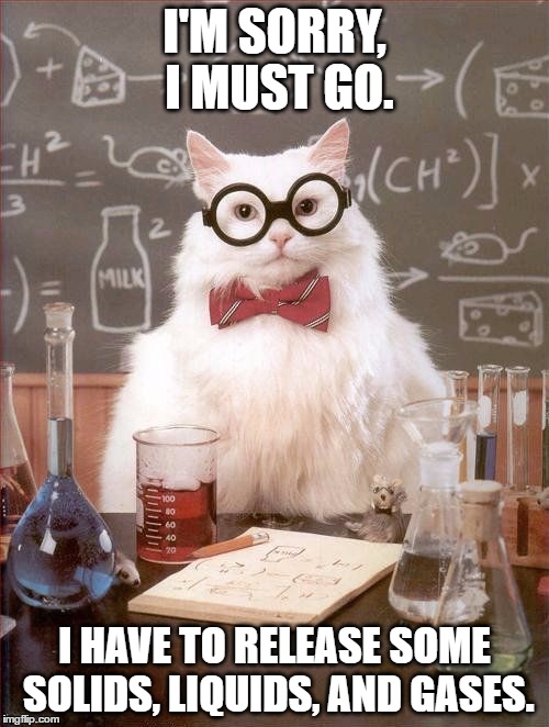 Science cat | I'M SORRY, I MUST GO. I HAVE TO RELEASE SOME SOLIDS, LIQUIDS, AND GASES. | image tagged in science cat | made w/ Imgflip meme maker