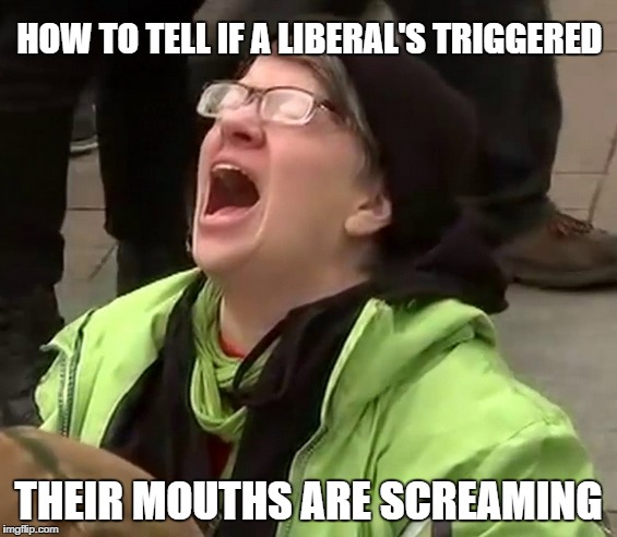 HOW TO TELL IF A LIBERAL'S TRIGGERED THEIR MOUTHS ARE SCREAMING | made w/ Imgflip meme maker