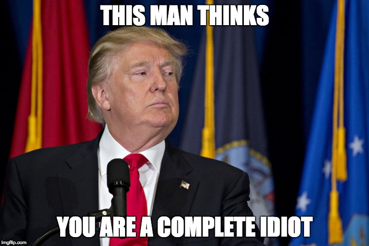 THIS MAN THINKS; YOU ARE A COMPLETE IDIOT | image tagged in trump,memes,president | made w/ Imgflip meme maker