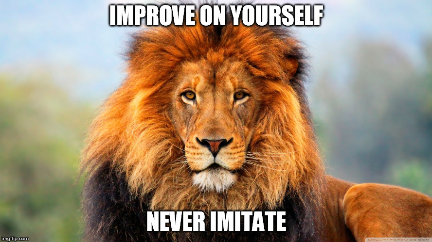 Self Improvement | IMPROVE ON YOURSELF; NEVER IMITATE | image tagged in personal development,lion,never imitate,improve on yourself | made w/ Imgflip meme maker