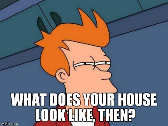 Futurama Fry Meme | WHAT DOES YOUR HOUSE LOOK LIKE, THEN? | image tagged in memes,futurama fry | made w/ Imgflip meme maker