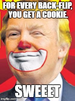 Donald Trump the Clown |  FOR EVERY BACK-FLIP, YOU GET A COOKIE. SWEEET | image tagged in donald trump the clown | made w/ Imgflip meme maker
