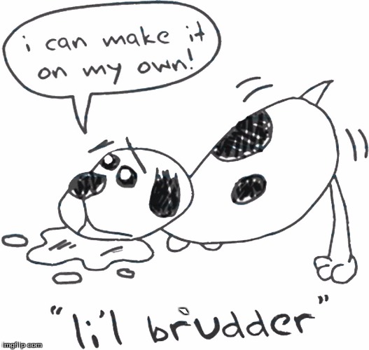 Nobody knows what lil brudder is from except for me  |  ` | image tagged in google images | made w/ Imgflip meme maker
