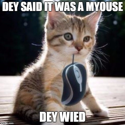 Cat with computer mouse | DEY SAID IT WAS A MYOUSE; DEY WIED | image tagged in cat with computer mouse | made w/ Imgflip meme maker