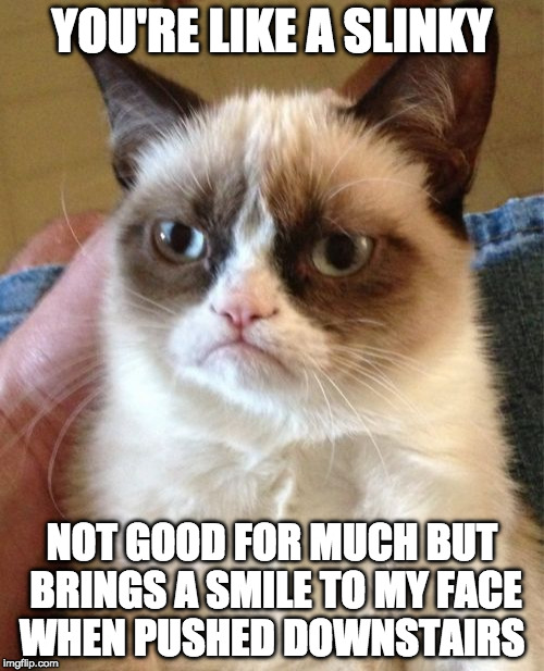 What walks down stairs, alone or in pairs? And makes a slinkety sound? | YOU'RE LIKE A SLINKY; NOT GOOD FOR MUCH BUT BRINGS A SMILE TO MY FACE WHEN PUSHED DOWNSTAIRS | image tagged in memes,grumpy cat,slinky,bacon,push down,strairs | made w/ Imgflip meme maker