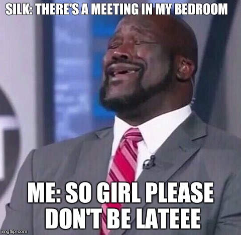 Silk Theres A Meeting In My Bedroom